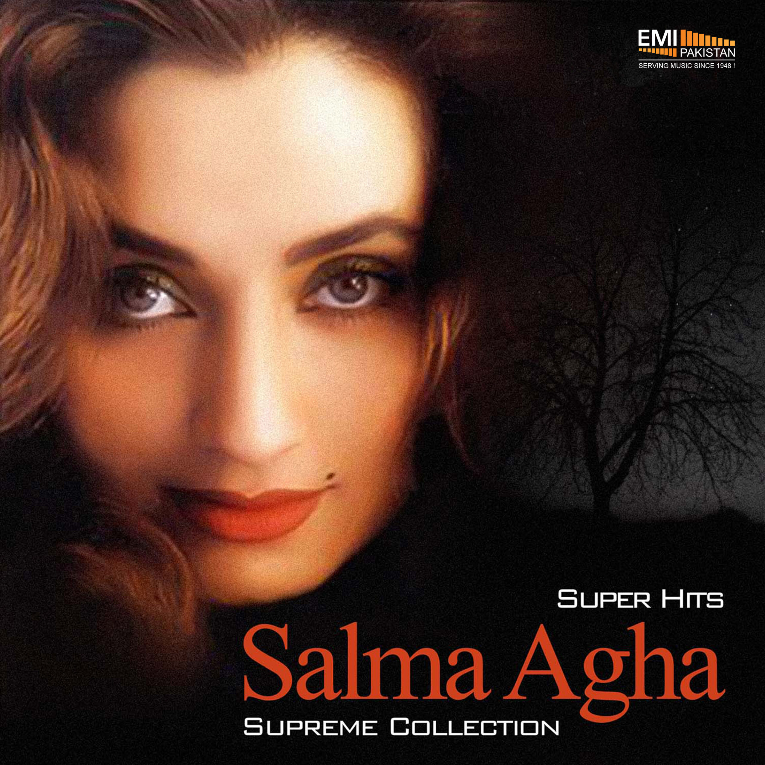 Supreme Collection Salma Agha Super Hits