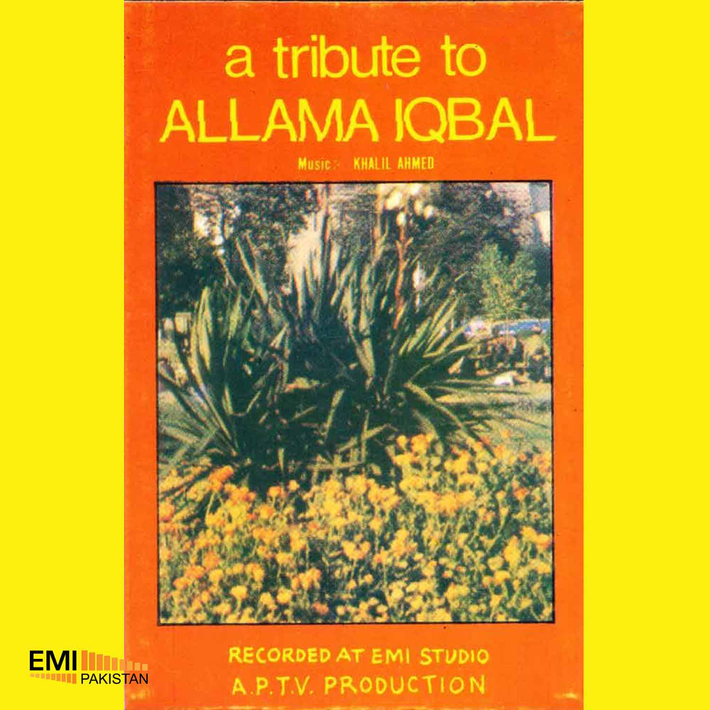 A Tribute To Allama Iqbal