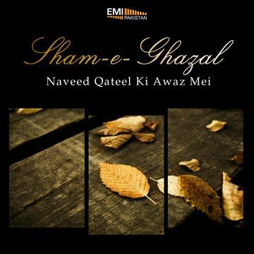 Sham-e-Ghazal