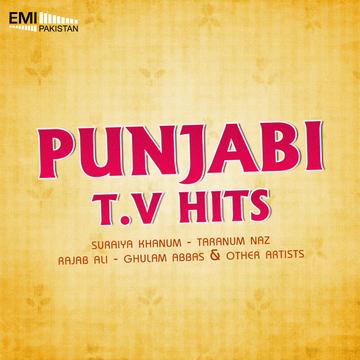 Punjabi TV Hits