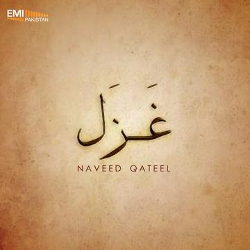 Naveed Qateel