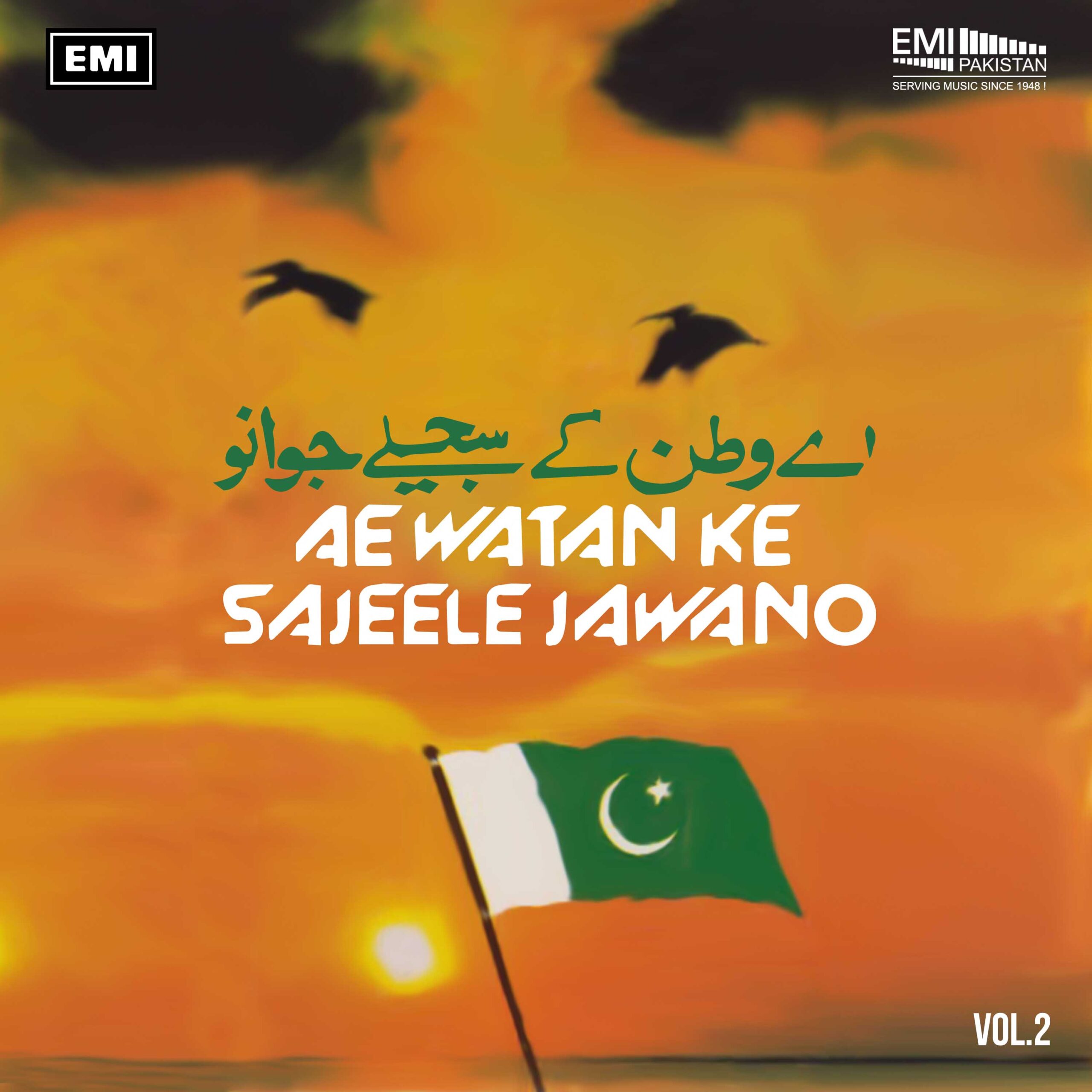 Ae Watan Ke Sajeele Jawano, Vol.2
