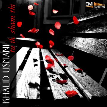 Ankhein Kya Kya Dekhein