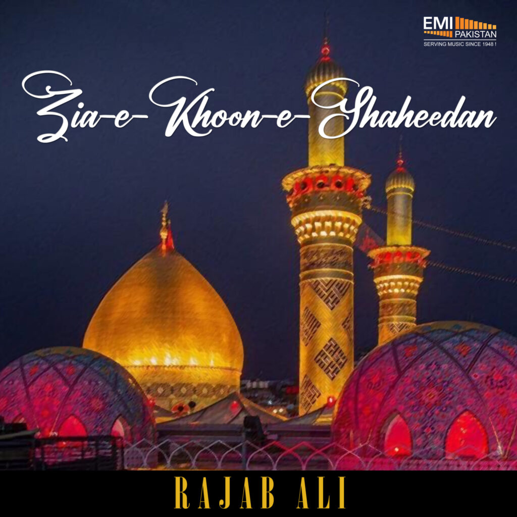 Zia-e-Khoon-e-Shaheedan