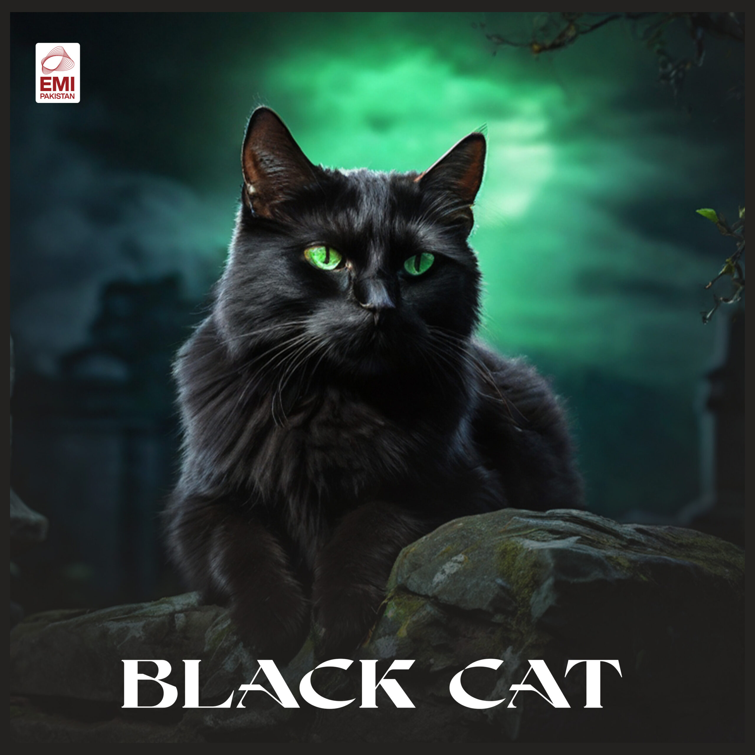 Film : Black Cat [complete]