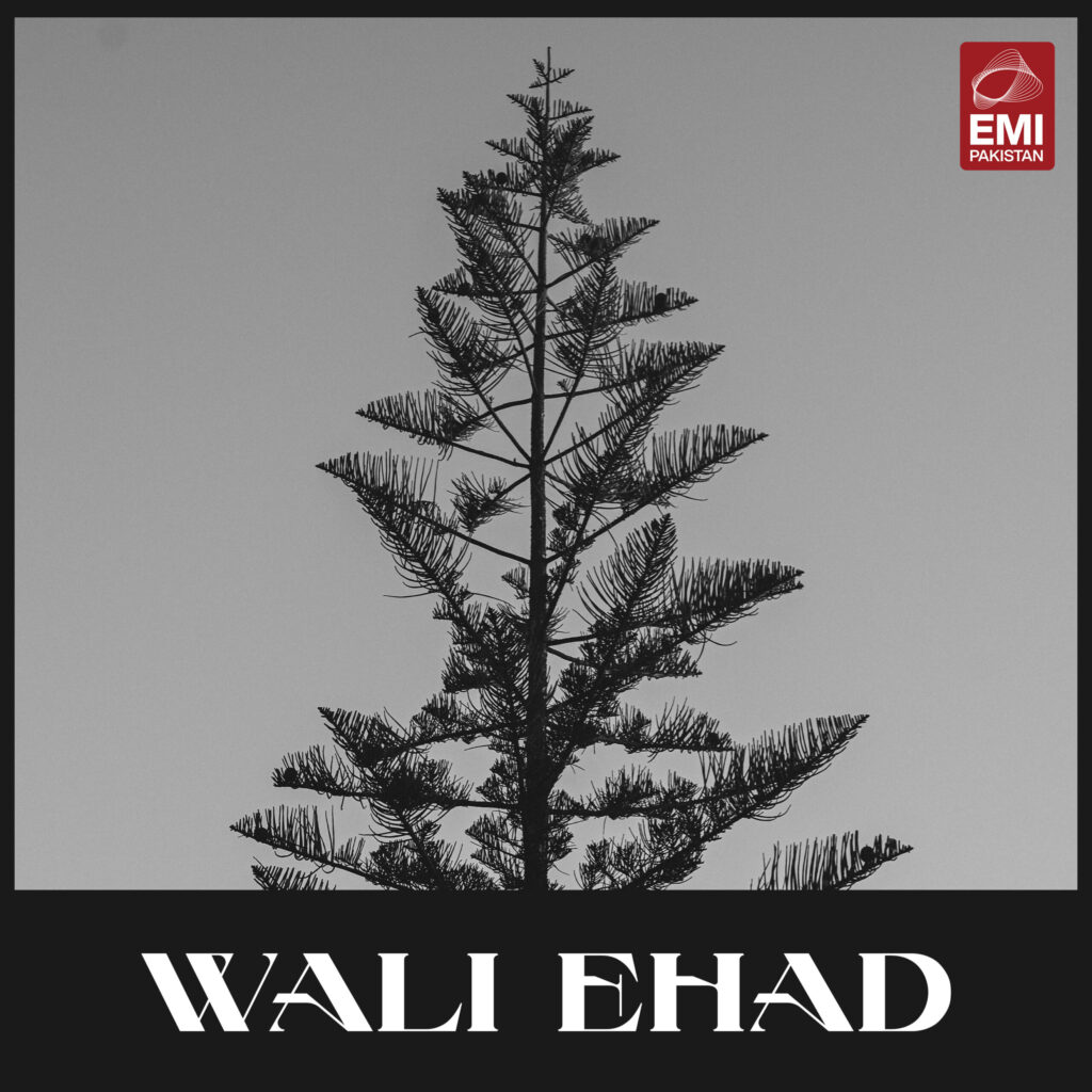 Film : Wali Ehad [complete]