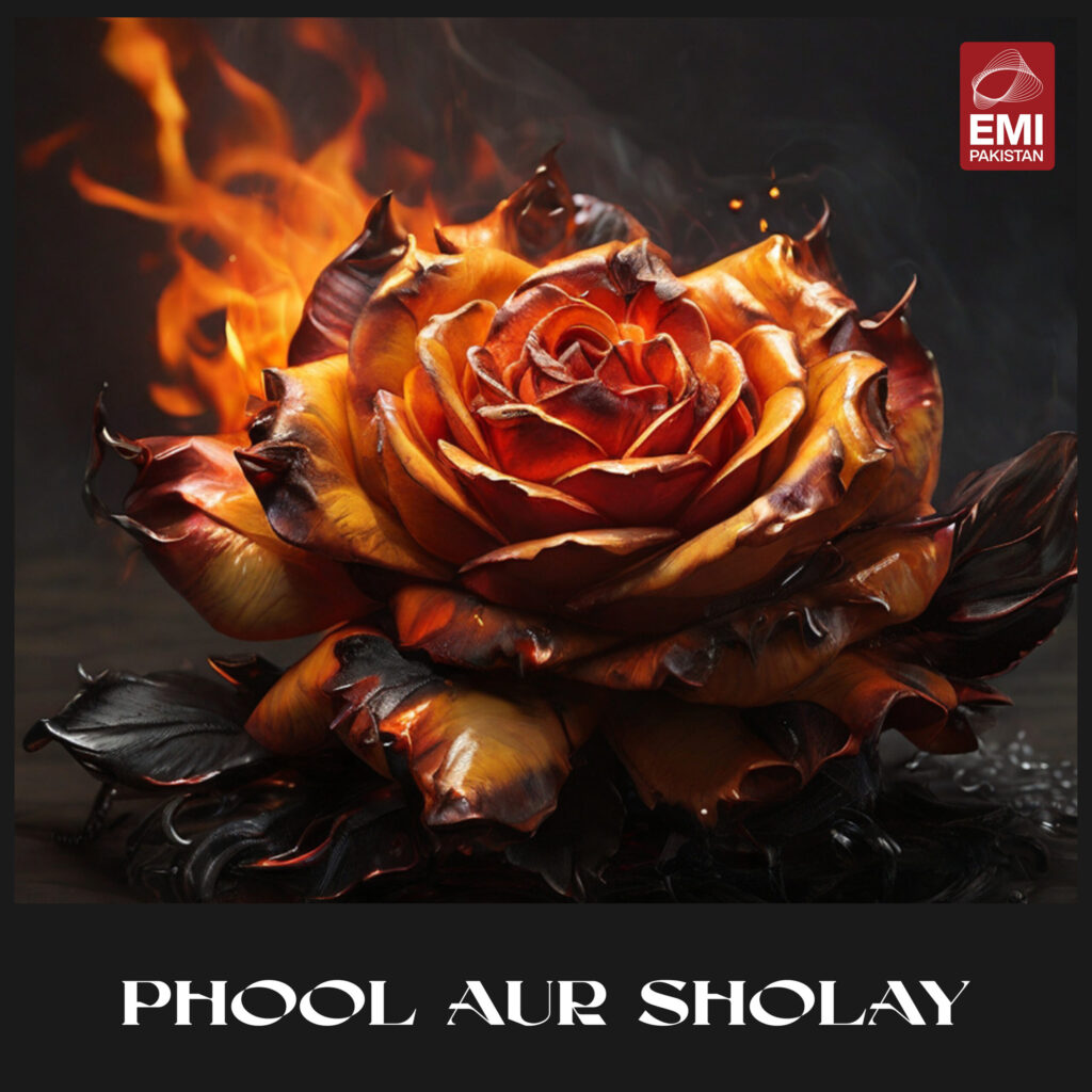 Film : Phool Aur Sholay [complete]