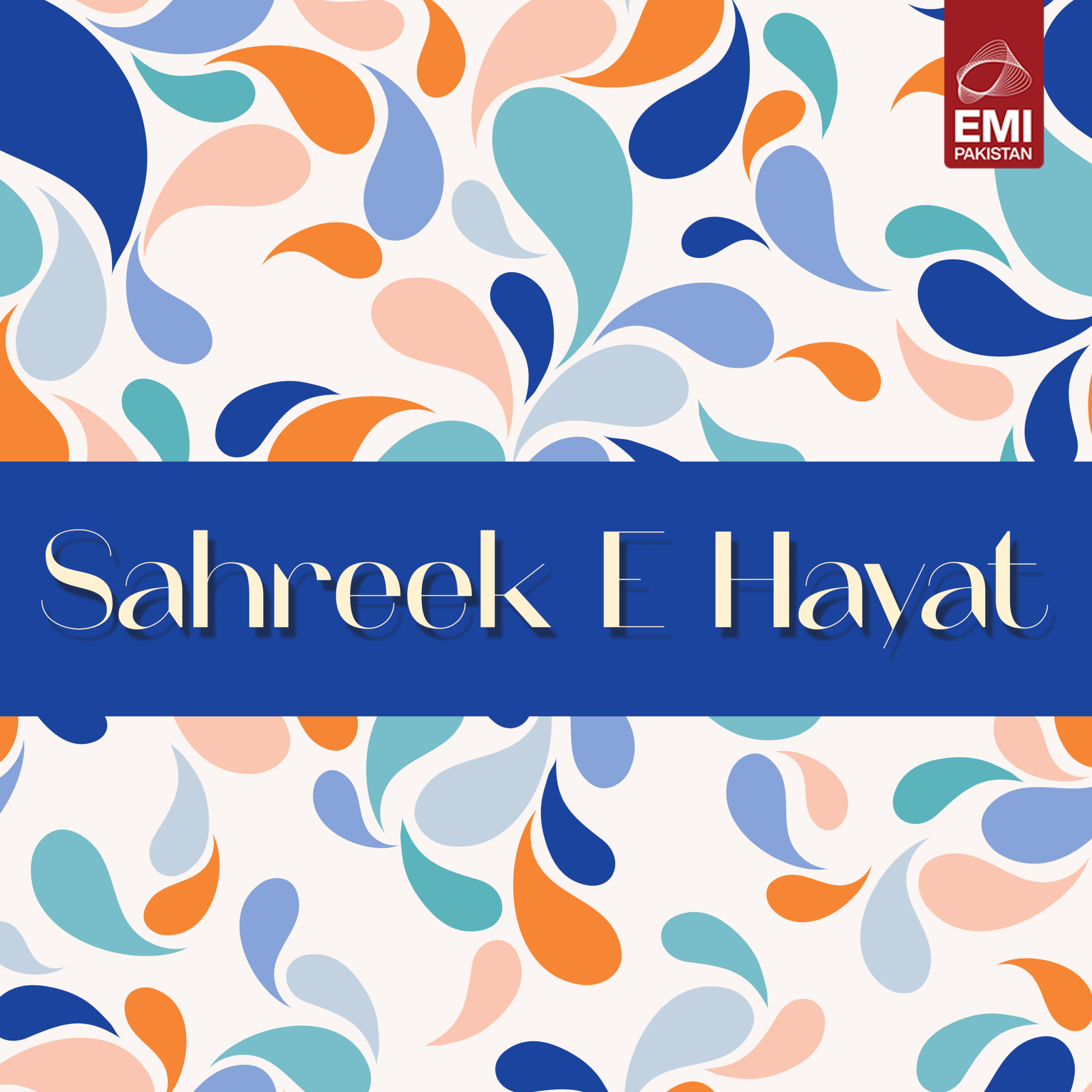 Film : Sahreek E Hayat [balance 1 song]