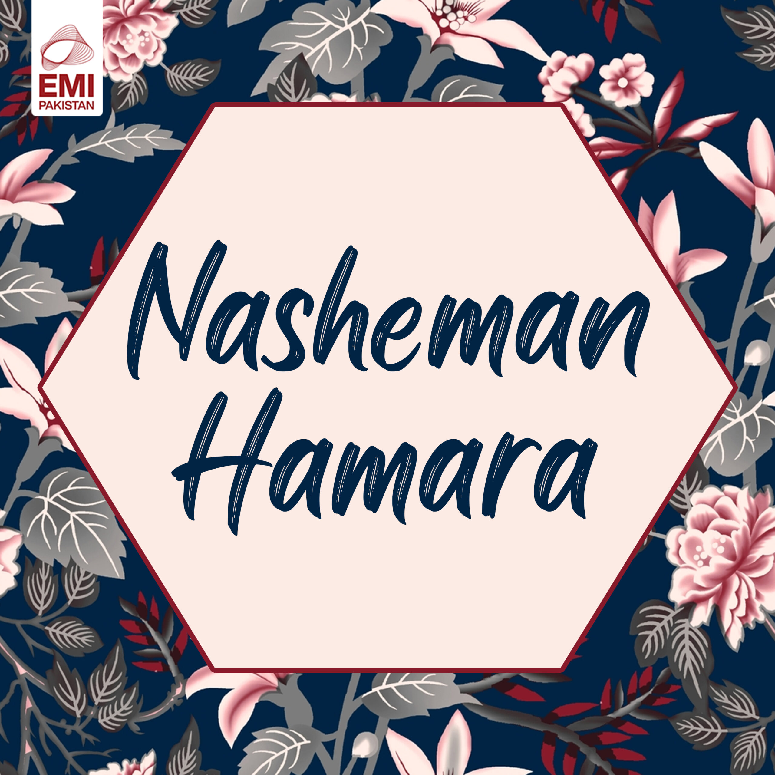 Film : Nasheman Hamara