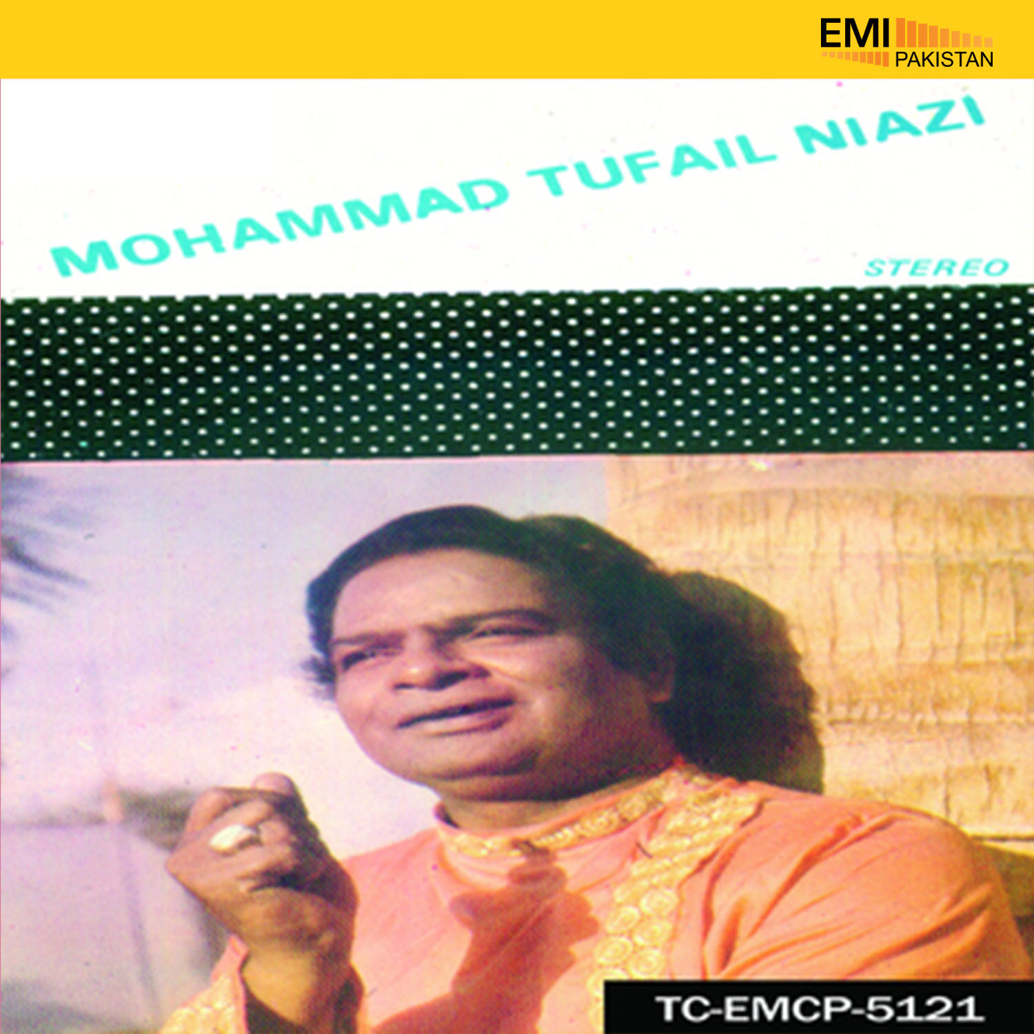 Muhammad Tufail Niazi