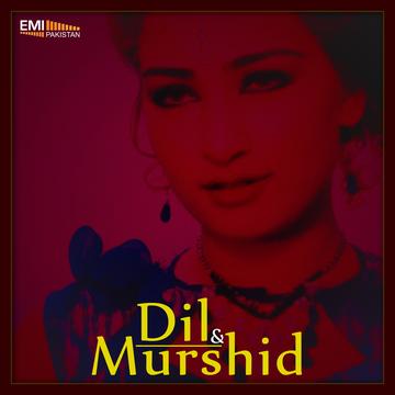 Dil – Murshid